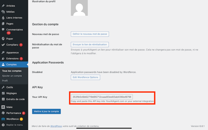 9 ou trouver apikey your ai agent dans wordpress.PNG
